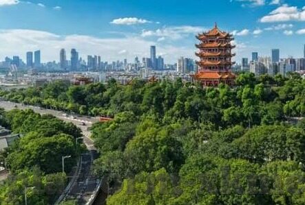国产剧情av麻豆香蕉精品-国产剧情av麻豆香蕉精品的多元化视角探索